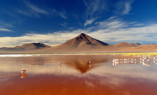 The Laguna Colorada is also known as the "Fire Lake" for obvious reasons