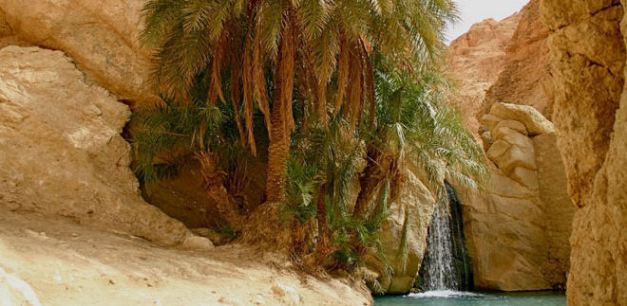 The Oasis de Montagnes outside of Tozeur is one of many well visited Oasis in Tunisia