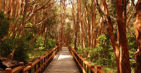 We highly recommend the day trip to Victoria Island ad the Arrayanes Forests