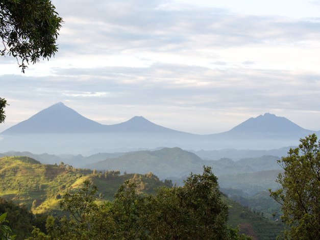 One of the many views from the Resort