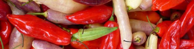 A Culinary Tour Of Peru