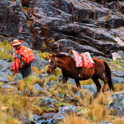 A trek to Lares & Machu Picchu is an incredible way to discover the local region