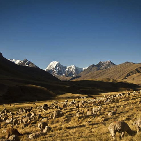 Mountain Lodges are a fantastic way to experience the Andes