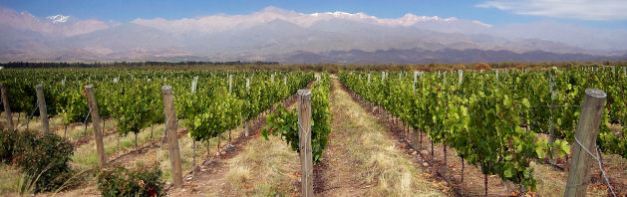 The region of Mendoza is well known for its wine production