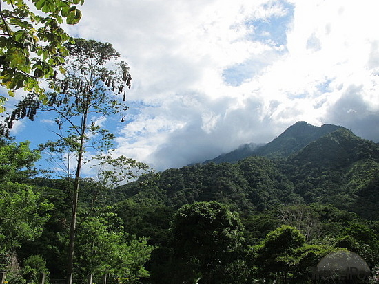 Pico Bonito National Park in Honduras