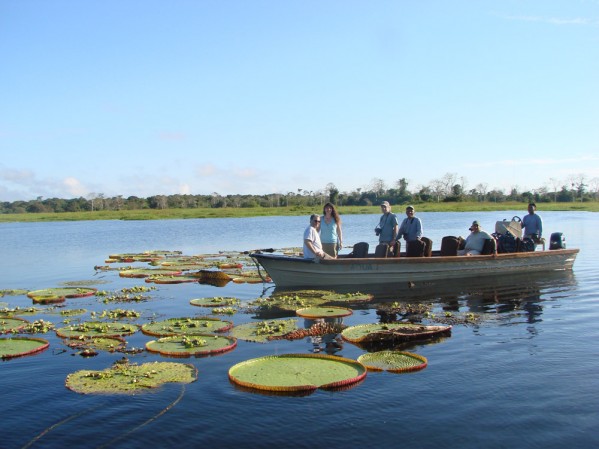 SPOTTING-VICTORIAS-REGIAS-599x449