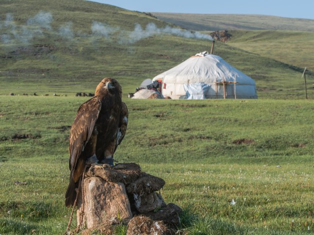The traditional Mongolian residence - the Ger - is used on many trips into the wilds of Mongolia