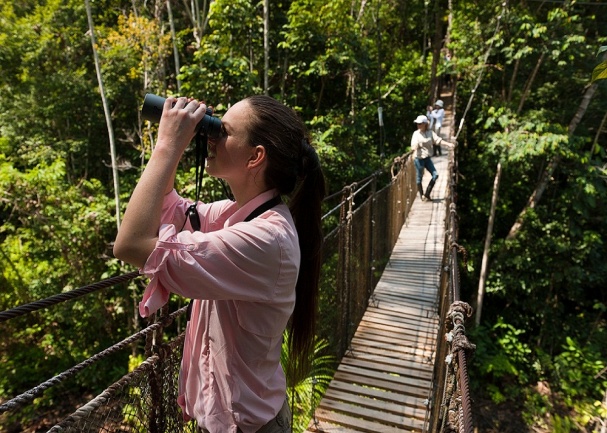 Canopy Walks are a fantastic way to view life in the Amazon Tree-Tops