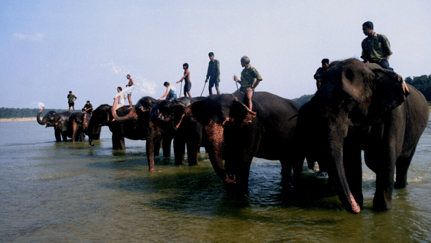 A popular way to explore Chitwan National Park is by Elephant back