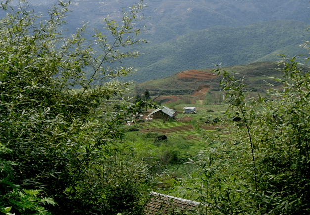 Hill Farms in Sapa