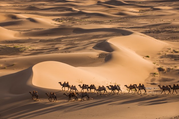 The Gobi Desert is a highlight of many Mongolian voyages