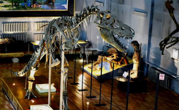 National History Museum