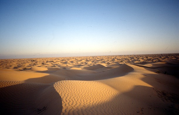 The Sahara is always in motion, a landscape of sand shifted by the winds