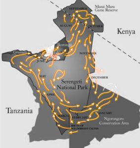 Approximate Migration Route