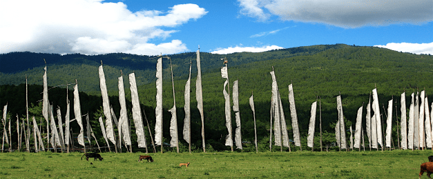 Prayer Flags