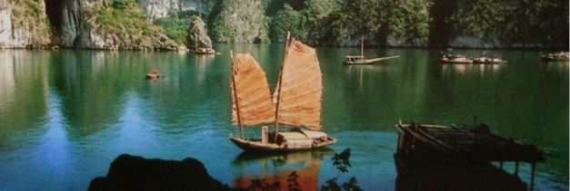 VN Family Web Image 5